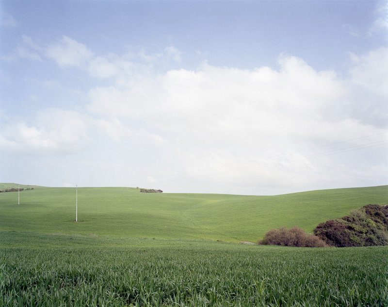 FAMILY LANDSCAPES