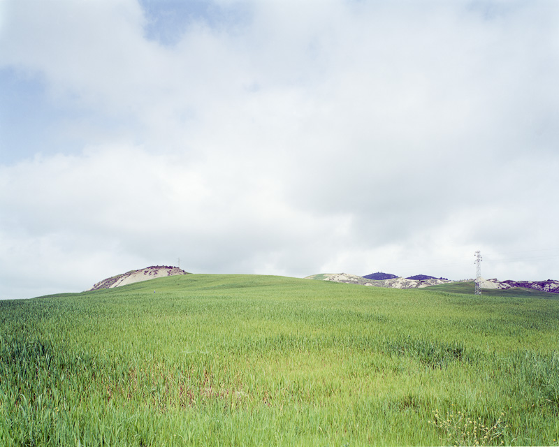 FAMILY LANDSCAPES