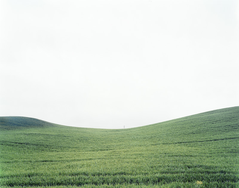 FAMILY LANDSCAPES