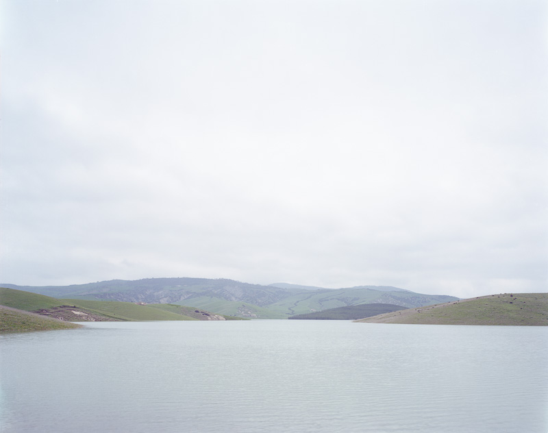 FAMILY LANDSCAPES