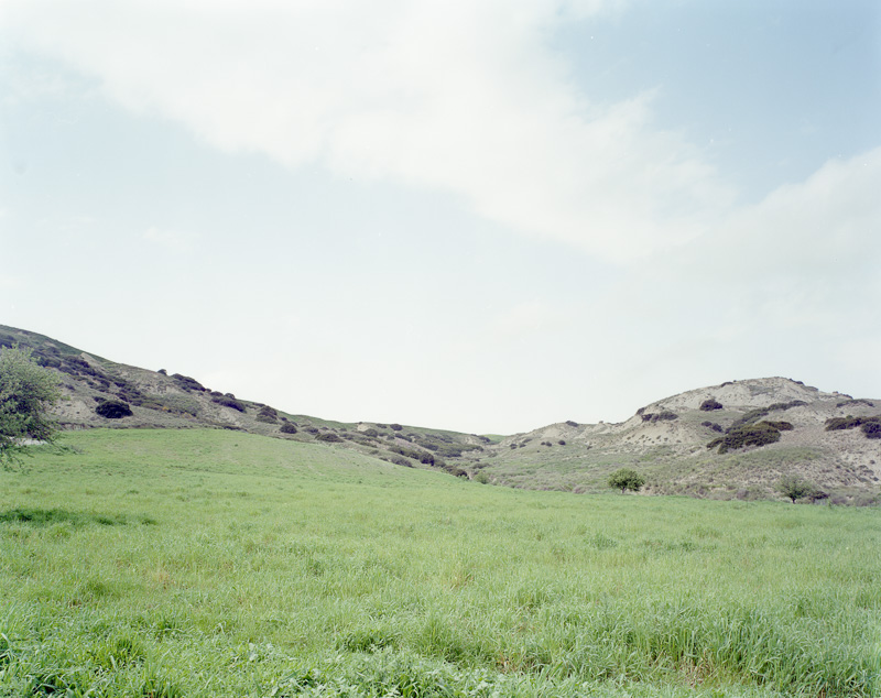 FAMILY LANDSCAPES