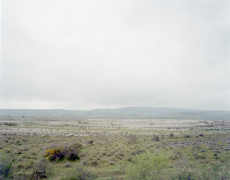 FAMILY LANDSCAPES